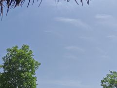 -波尔登森林公园