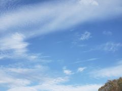 -千年银杏谷文化旅游区