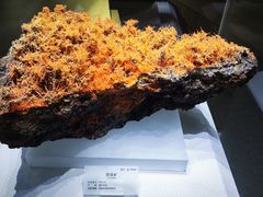 -湖南省地质博物馆