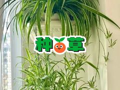 -大润发(张江店)