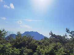 -王顺山国家森林公园