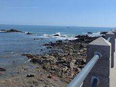 -小麦岛公园