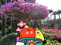 -红花山公园