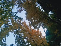 -苏州图书馆(姑苏区分馆)