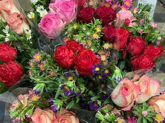 -鹿岛会员店 (龙湖三千集天街店)