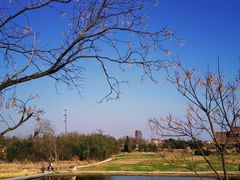 -良渚古城遗址公园