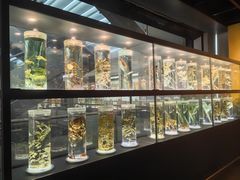 -广东中医药博物馆