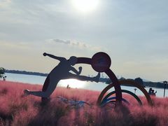 -贡湖湾湿地公园