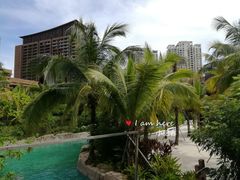 -亚马逊丛林水乐园