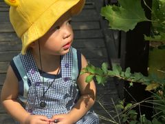 -武汉紫薇都市田园