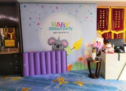 -臻康乃馨月子中心(凯宾斯基店)