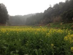 -韶山毛泽东同志故居