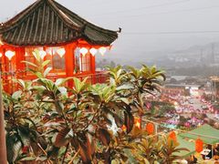 -枇杷园食为鲜火锅(南山店)