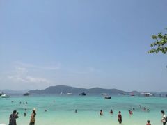 -珊瑚岛