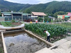 -宁波九龙湖开元度假村
