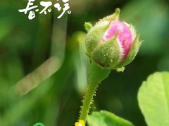 -青龙山国家森林公园