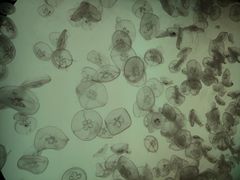 -沈阳海洋探索中心