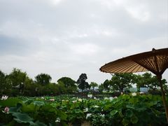 -无锡蠡湖国家湿地公园-蠡园