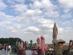 -七的湖·晚芳亭·阳澄湖农家菜·大闸蟹(莲花岛店)