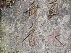 -王顺山国家森林公园