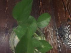 -1013咖啡书吧(兰庭国际店)