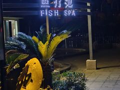 -张家港金凤凰度假村温泉