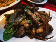 -蛇口康乐快餐鱼仔档(翠苑小区店)
