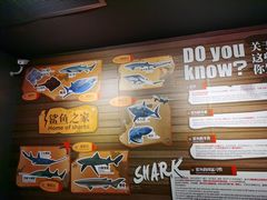 -成都浩海立方海洋公园