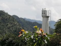 -羚羊峡古栈道森林公园