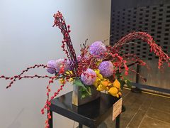 -云溪植物园