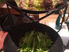 红叶生菜/九芽生菜-希尔顿欢朋酒店·欢朋餐厅