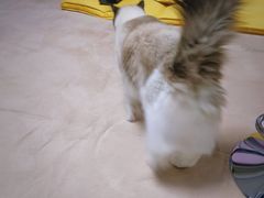 -零纪元VR体验馆·桌游(黄浦店)