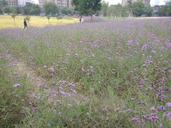 -杭州城北体育公园