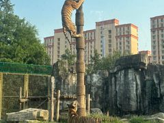 -上海野生动物园