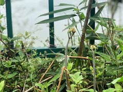 -老虎潭水库