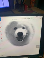 -明星刺青·洗纹身