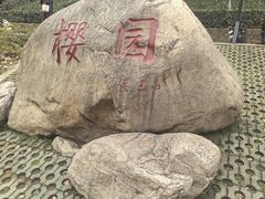 -武汉大学-樱园