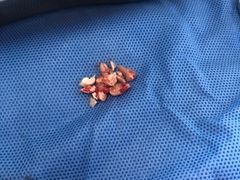 -浙江大学医学院附属口腔医院湖滨（延安）院区