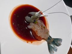 -觀芷隐轩
