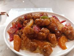 -南枝记