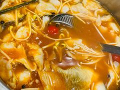 酸汤鱼-酸喜·三度酸·贵州味