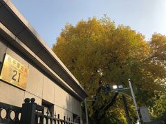 -庆丰包子铺(和平里店)