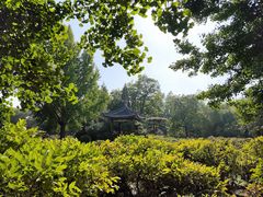 -迎泽公园