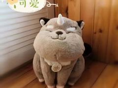 -沈阳故宫·莊啡