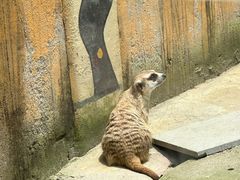 -杭州野生动物世界