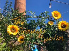 -The Grounds of Alexandria