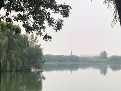 -大兴滨河森林公园