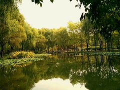 -洛阳市隋唐城遗址植物园