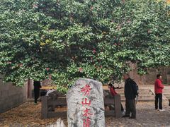 -青岛崂山太清宫