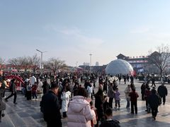-大槐树寻根祭祖园